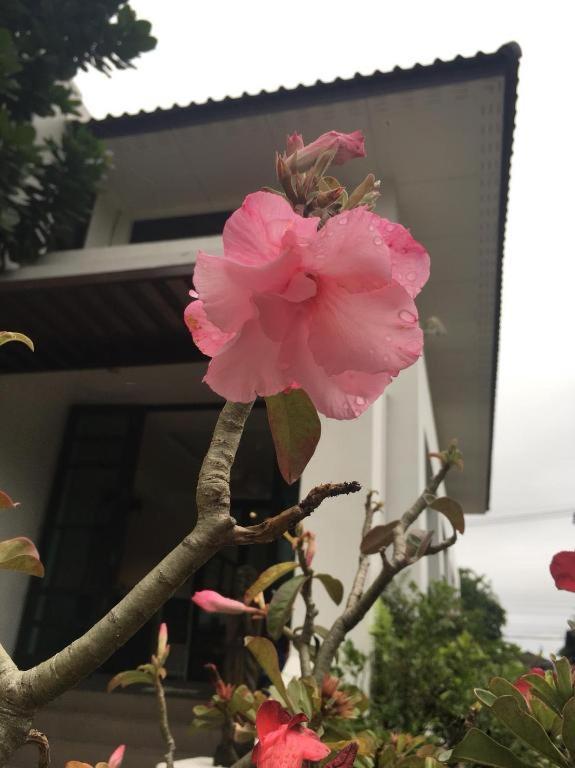 Baan Nan B&B Hotel Eksteriør billede